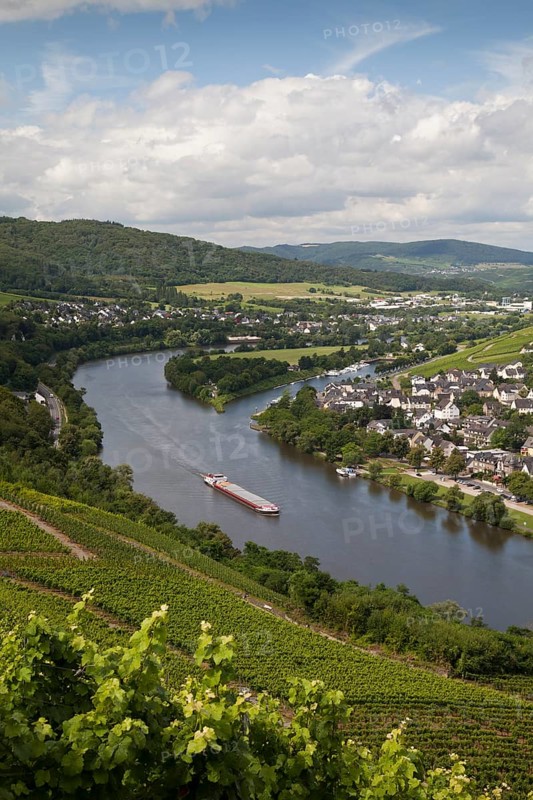 View from the Burg Landshut castle ruins on the Moselle and the Kues district
