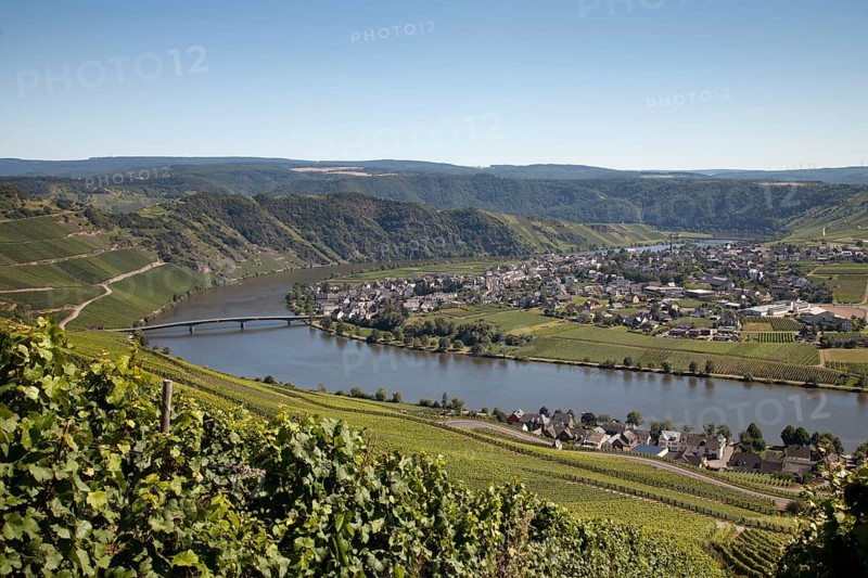 Moselle Valley near Piesport