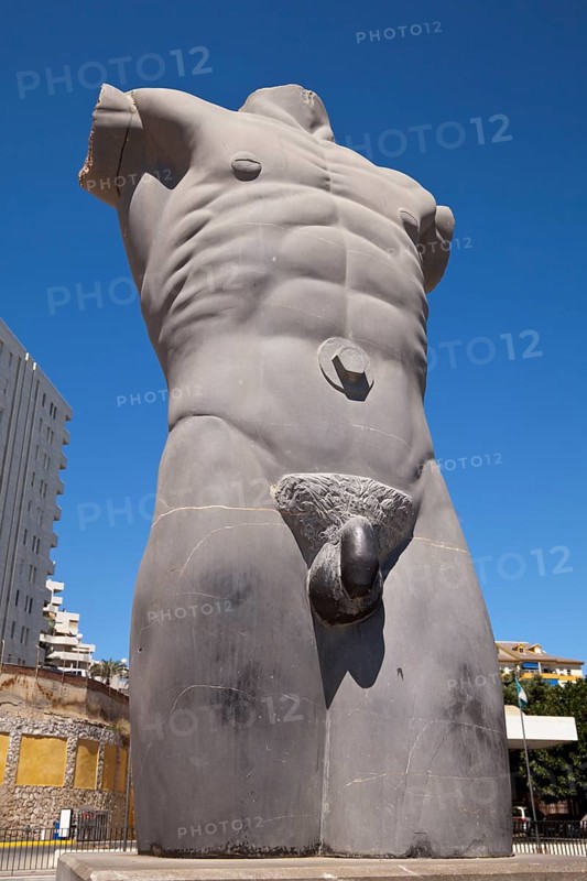 Torso
