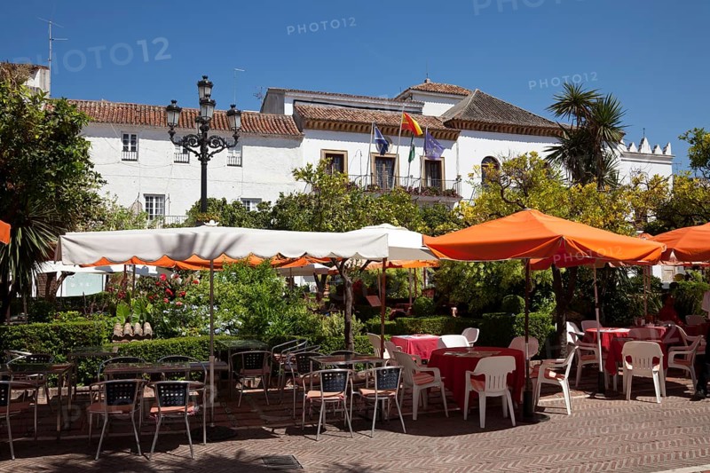 Orange Tree Square