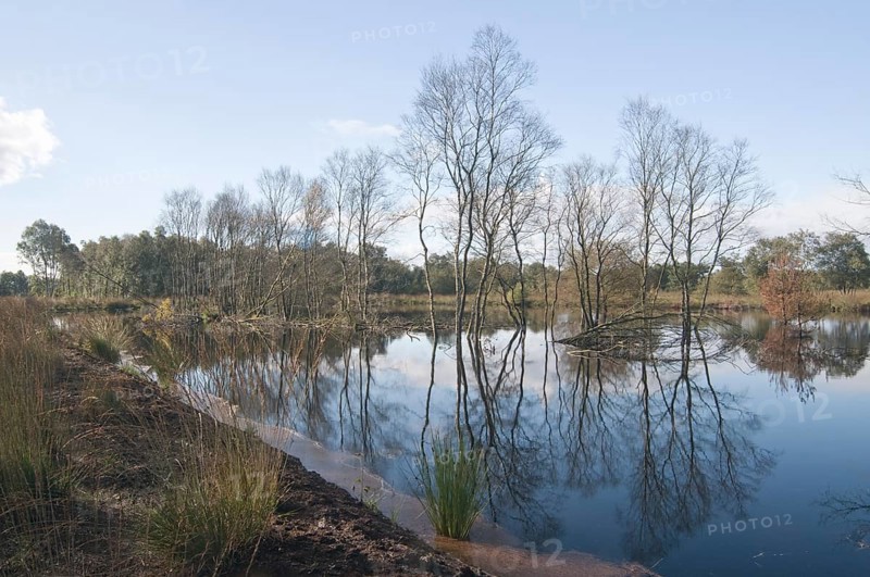 Rehydration of former wetlands