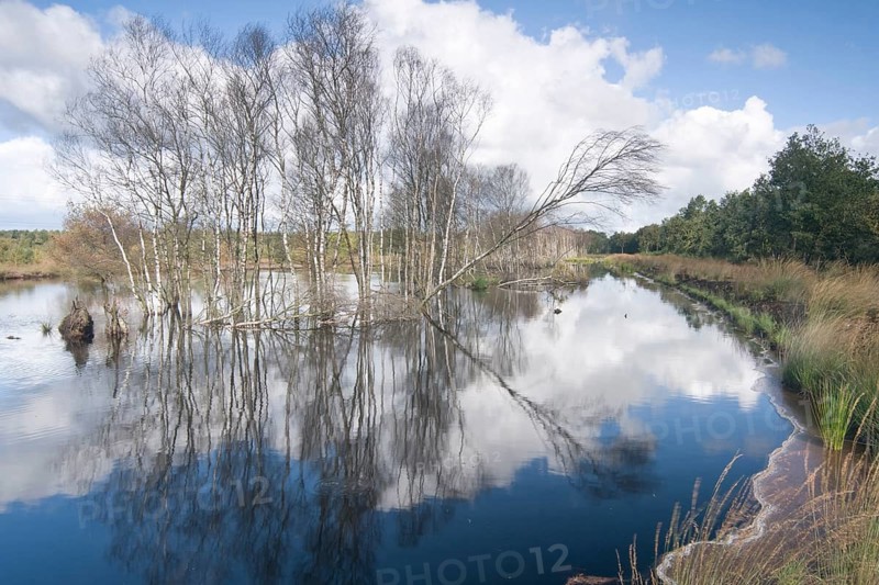 Rehydration of former wetlands