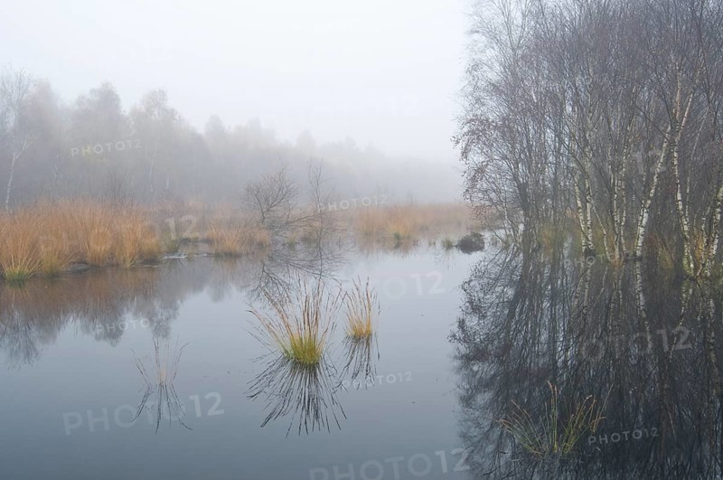 Rehydration of former wetlands