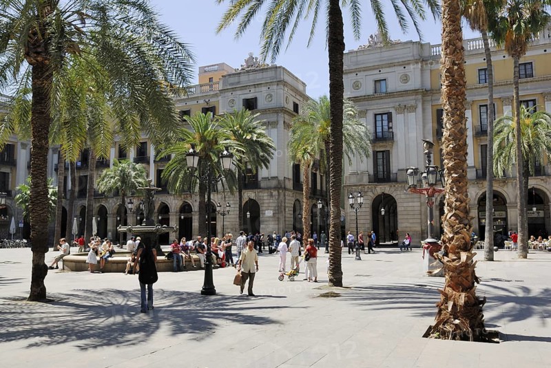 Placa Reial