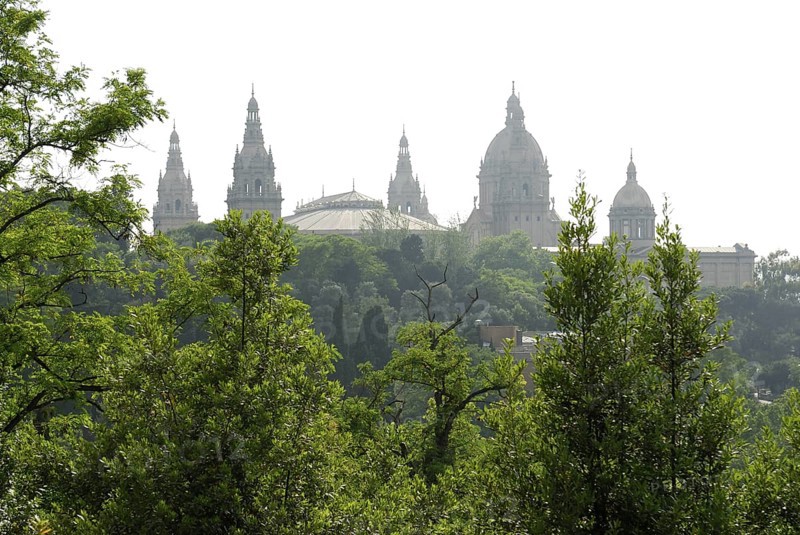Museu Nacional d'Art de Catalunya