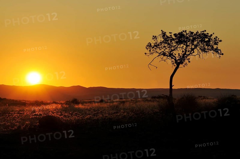 Sunset above the Sesriem Canyon