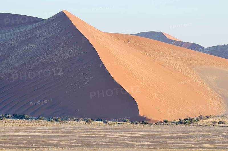 Early morning view from Dune 45 on a desert landscape with dunes