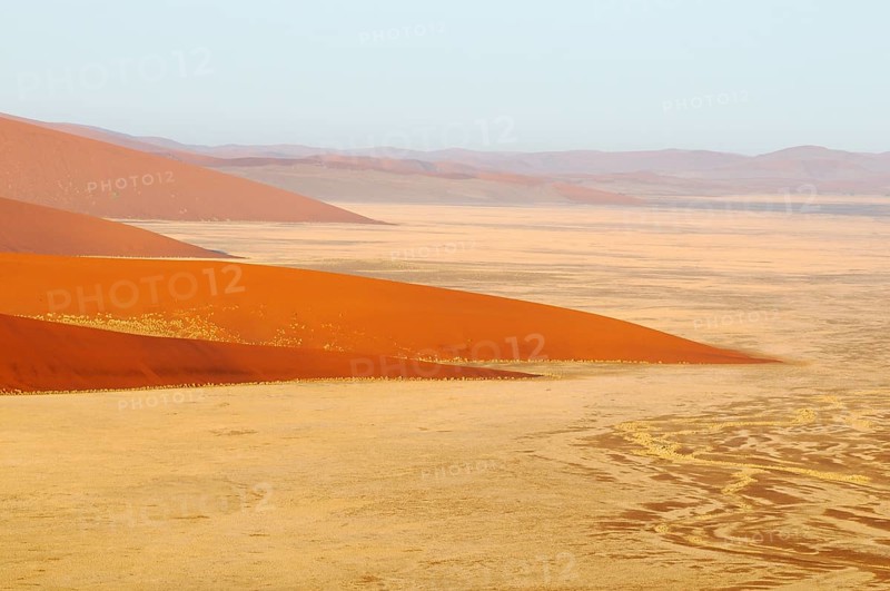 Early morning view from Dune 45 on a desert landscape with dunes