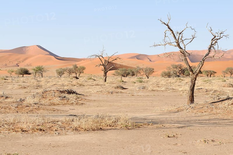 Dune landscape at Sossusvlei