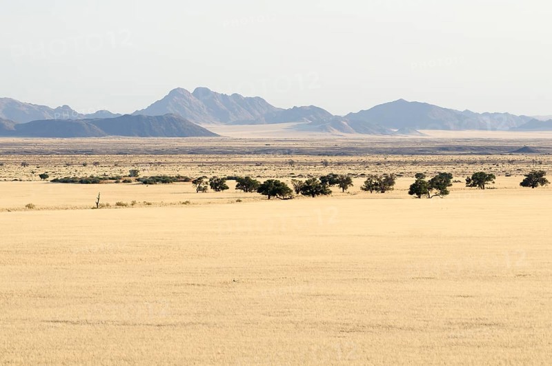 View from Elim Dune