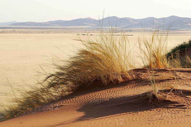 Elim Dune