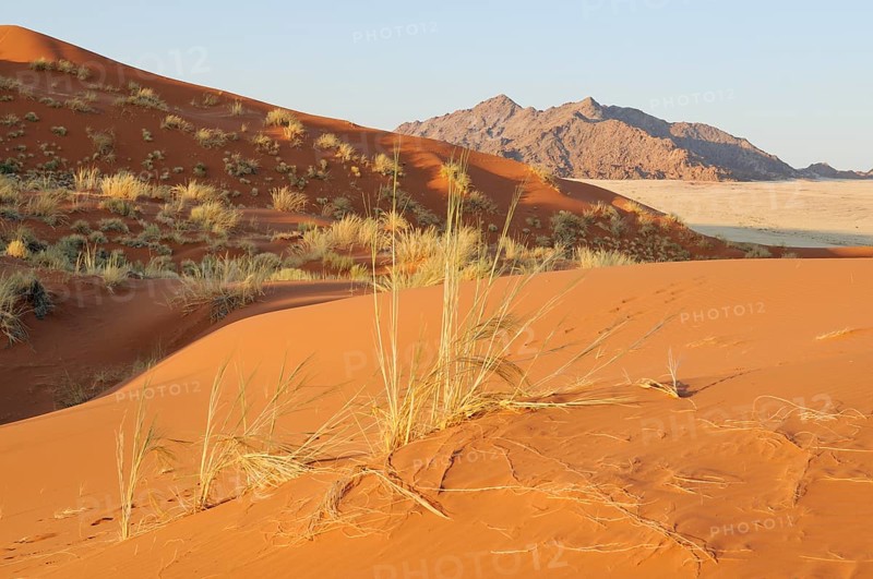 View from Elim Dune towards the Naukluft Mountains