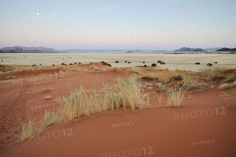 Elim Dune
