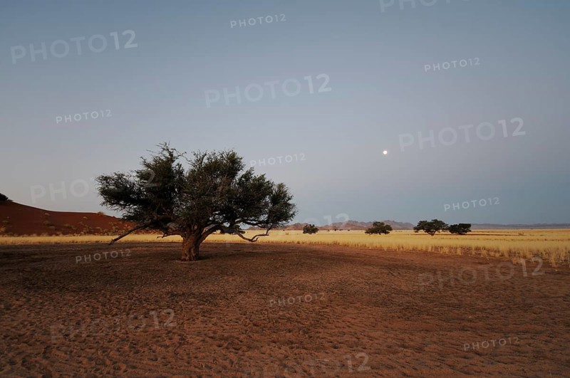 Elim Dune at dusk