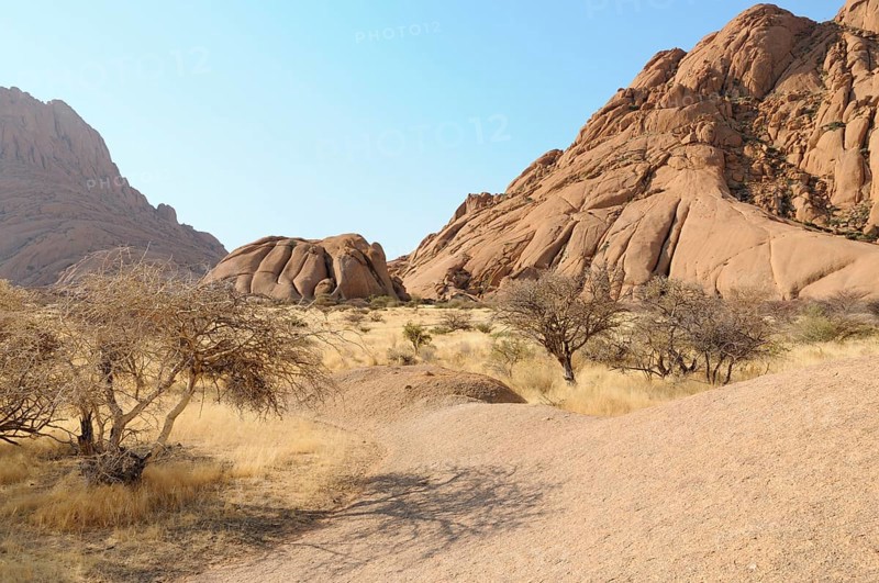 Savannah landscape with granite rocks
