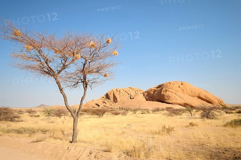 Savannah landscape with granite rocks of the Pontok Mountains