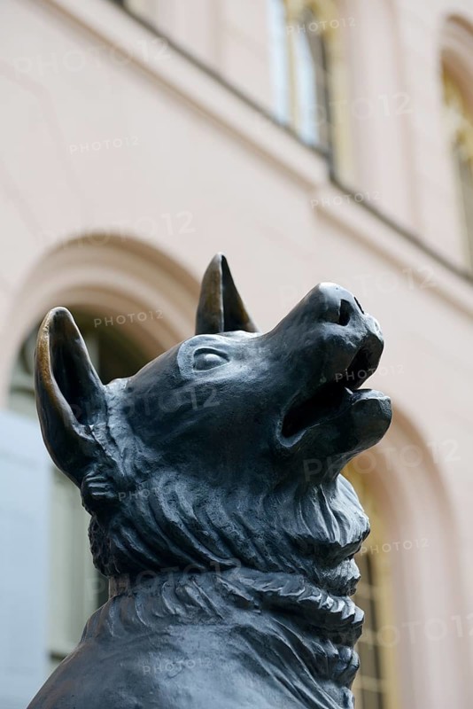 Wolfhound
