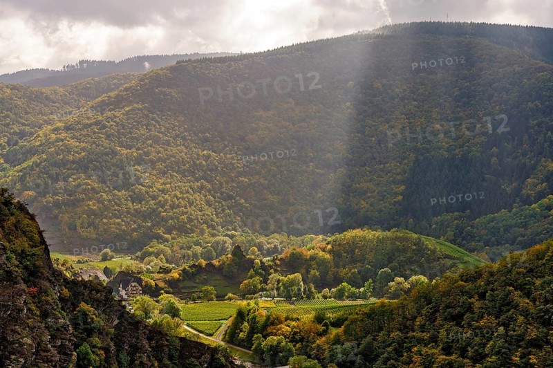 Ahr Valley between Mayschoß in the autumn