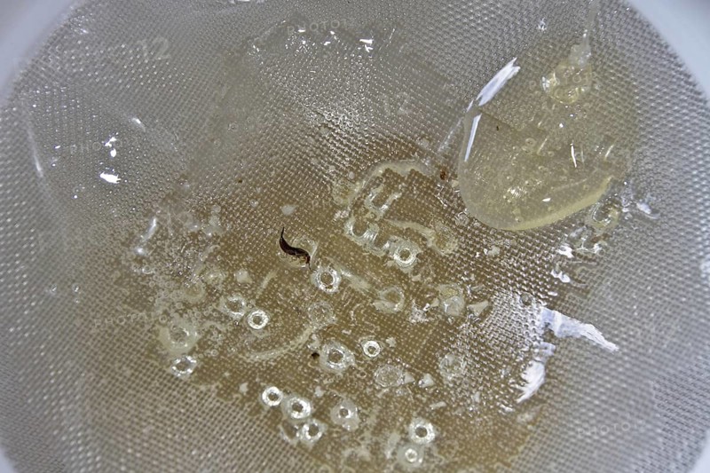 After the honey has been spun from the comb its filtered through two filters into the storage drum