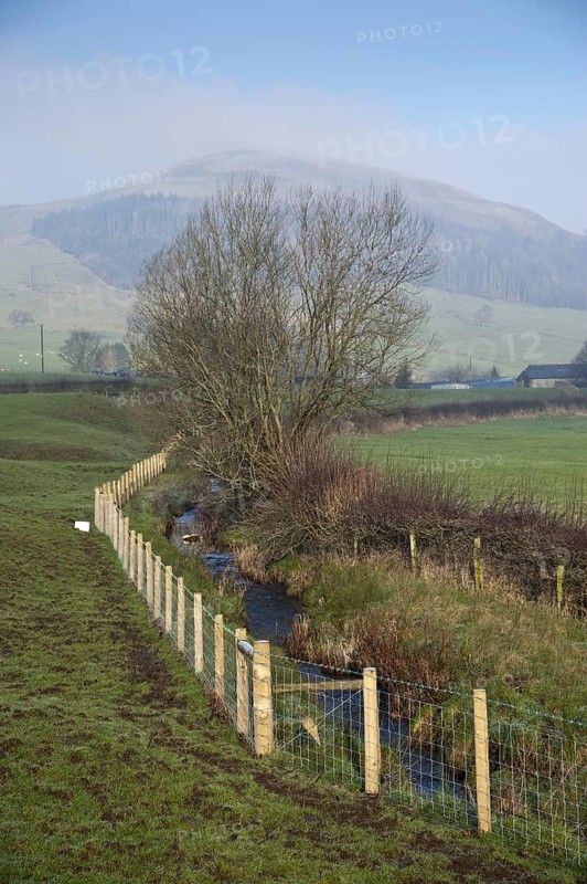 Stream flowing through pasture
