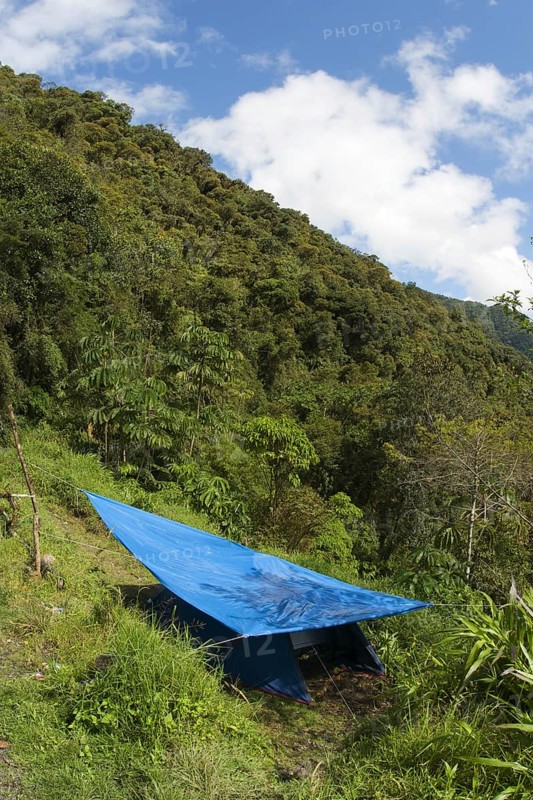 Tent with shade