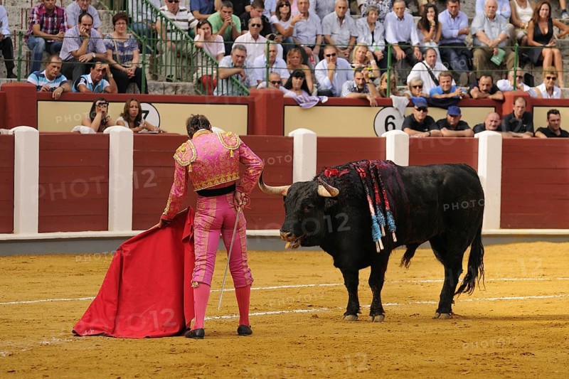 Bullfighting