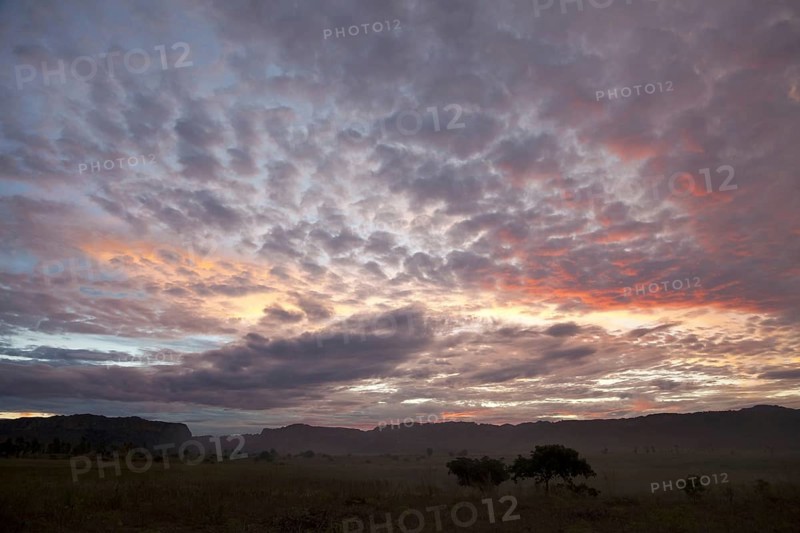 Sunset over grassland habitat