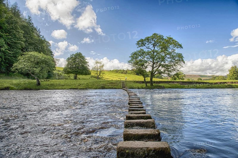 View of stepping stones across river