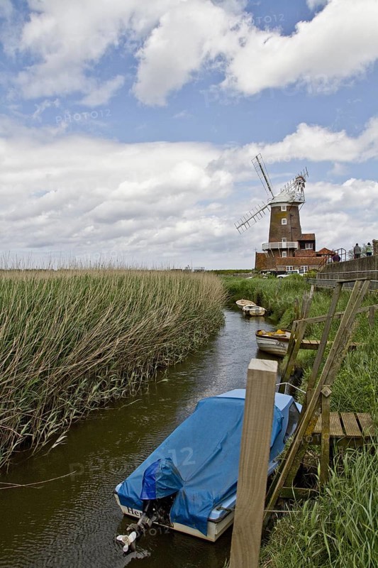 Cley Windmill and the surrounding reedbeds