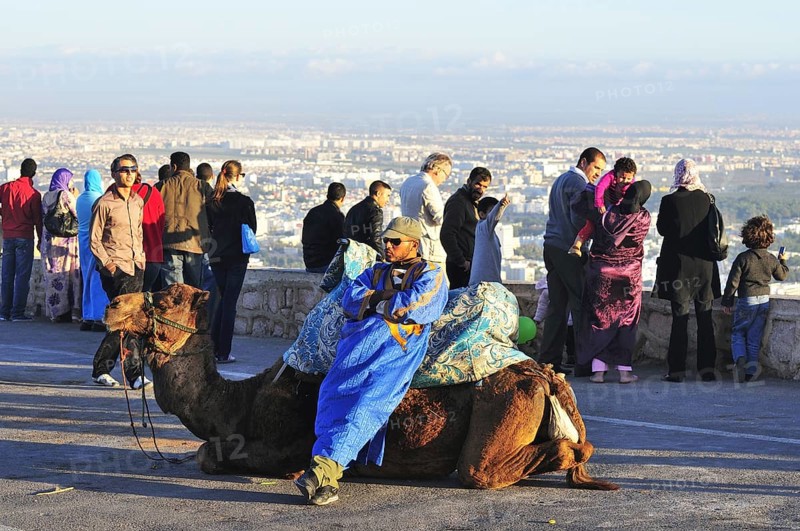 Camel driver waits for tourists at the ancient fortress of Agadir