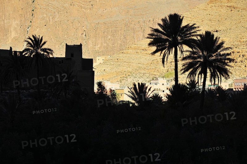 Silhouette of Ksar and palm trees