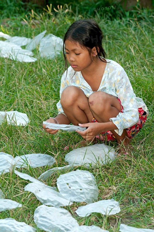 Khmer girl spreading rice paper for spring rolls to dry in a meadow