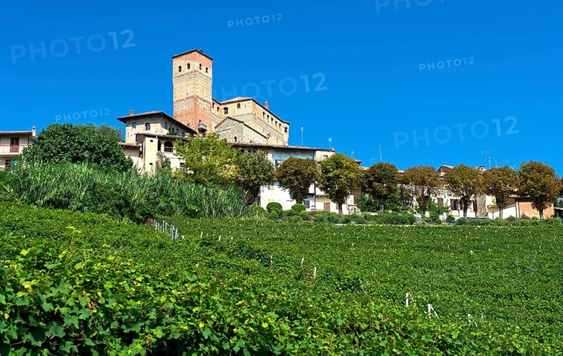 The Castle of Serralunga d'Alba