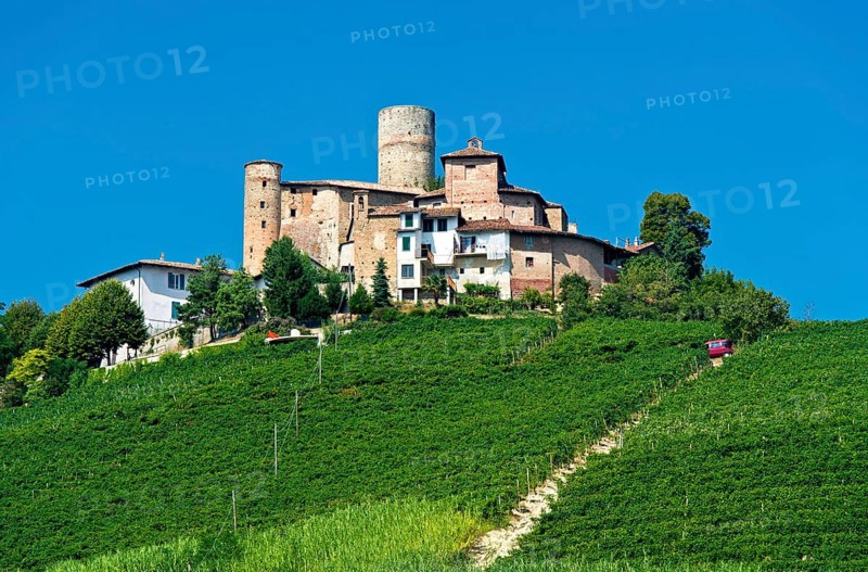 The castle of Castiglione Falletto above vineyards