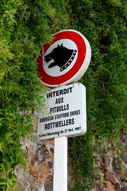 Prohibition sign for dangerous dogs