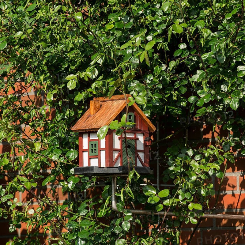 Small bird house on a rose trellis