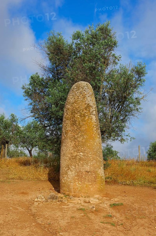 Menhir dos Almendres
