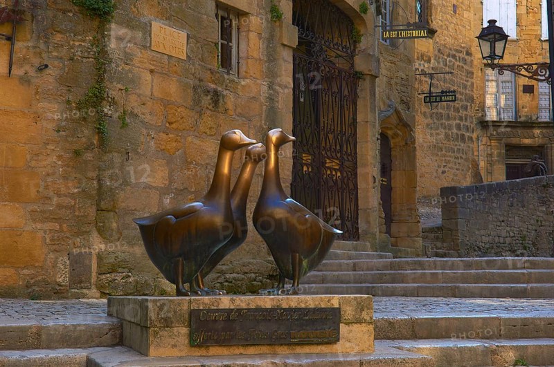 Les Oies