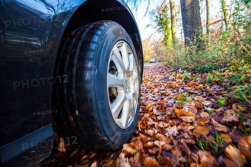Car driving on a street covered with leaves