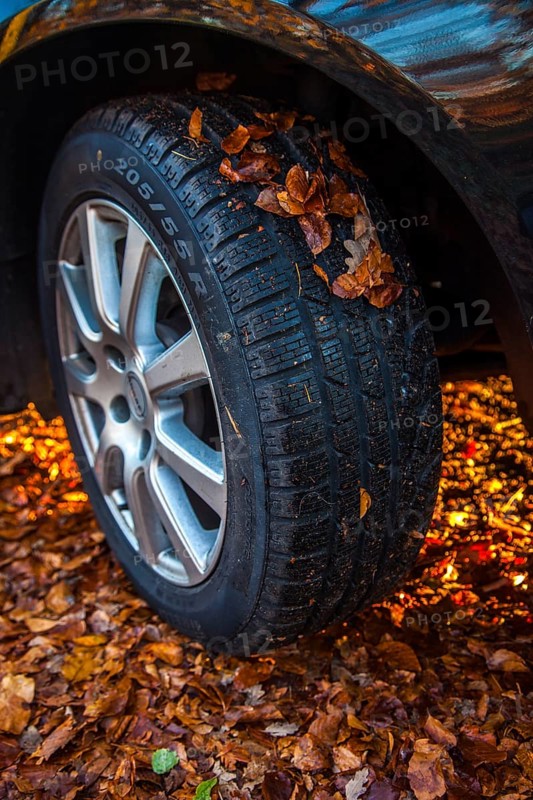 Car driving on a street covered with leaves