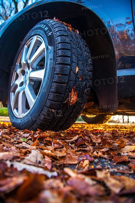 Car driving on a street covered with leaves