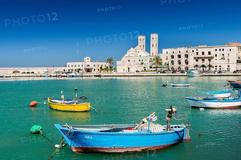 Fishing boats in the harbor