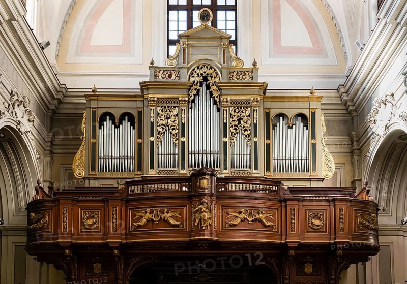 Organ