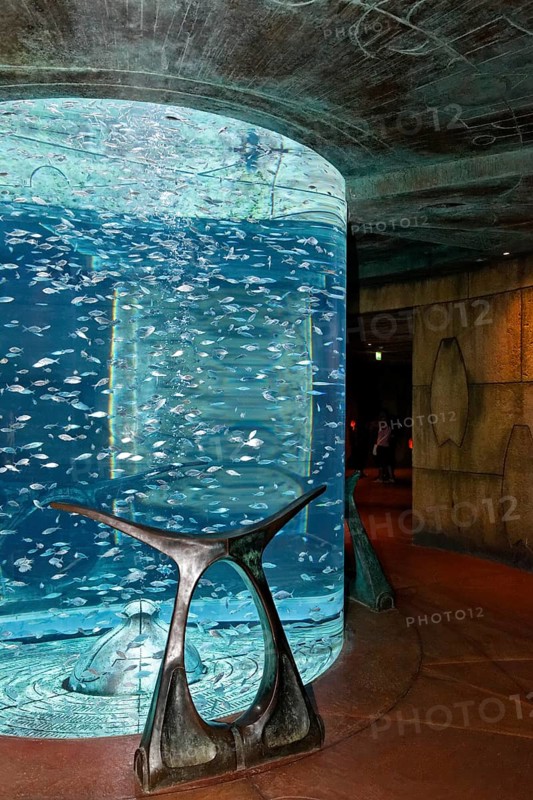 Aquarium in The Lost Chambers