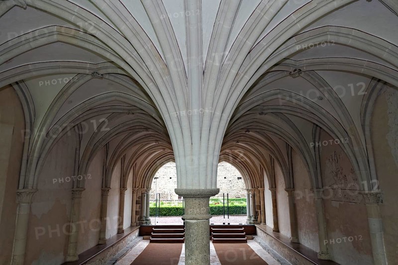 Column with palm-shaped vault pillar