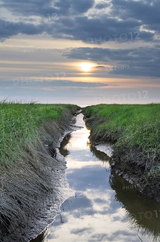 Ditch for the reclamation of land on the North Sea coast