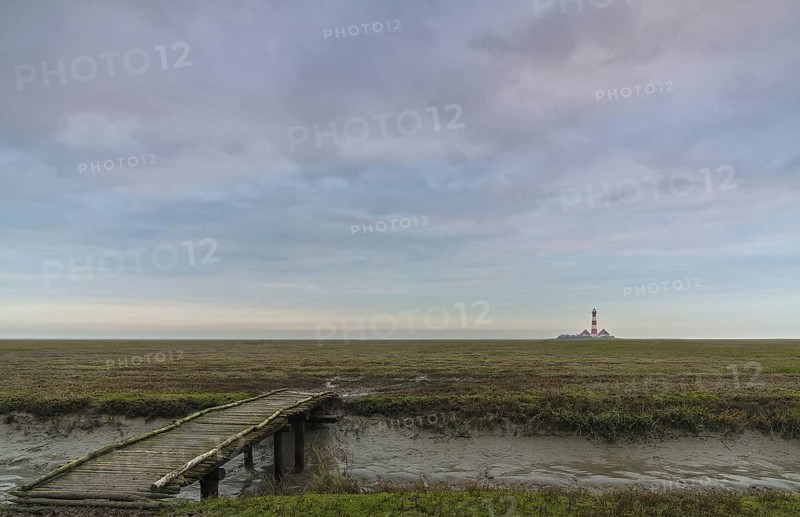 Jetty