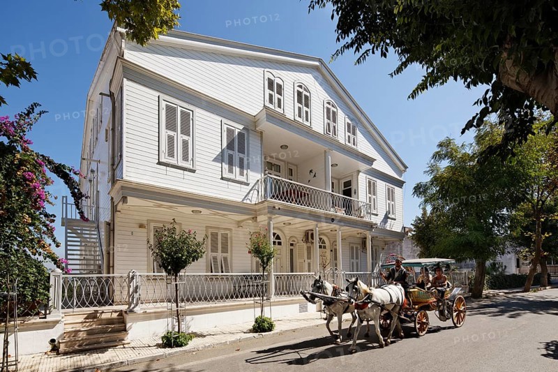 Horse-drawn carriage in front of a wooden mansion