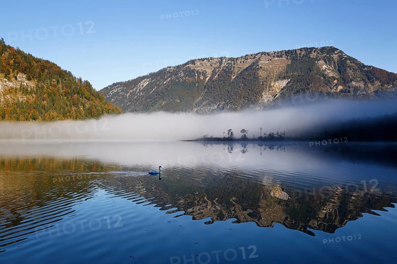 Early morning on lake Offensee