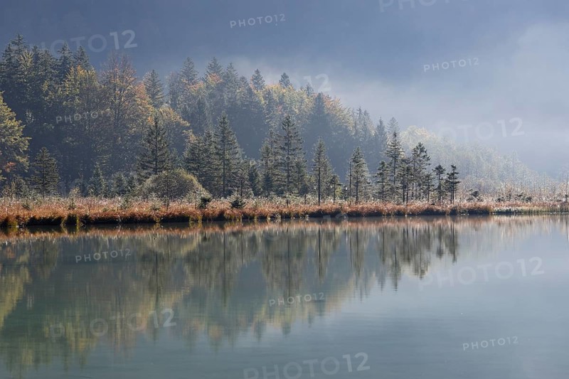 Early morning on lake Offensee